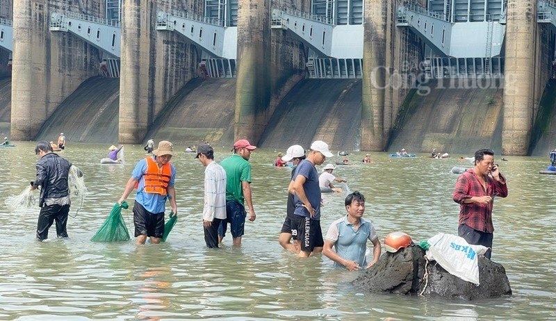 Hàng trăm người dân đổ xô vào thủy điện Trị An bắt cá ‘khủng’