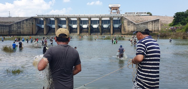 Thủy điện Trị An đóng đập tràn, người dân được mùa bắt cá 'khủng' ảnh 5